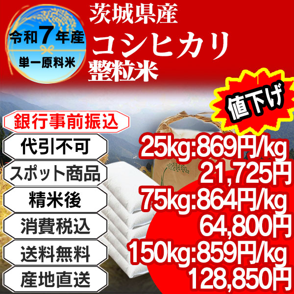 コシヒカリーA